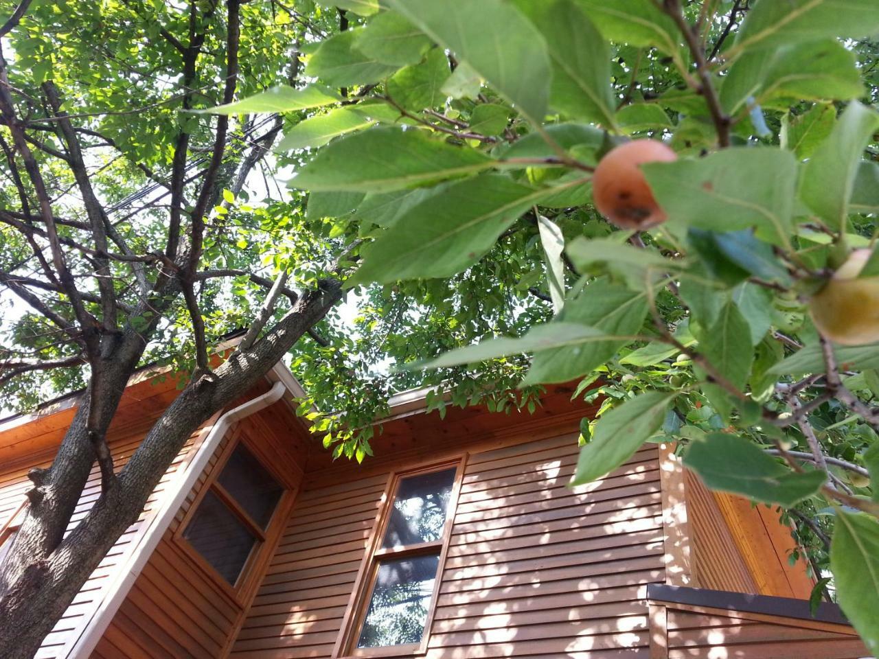 Persimmon Inn Bloomington Luaran gambar